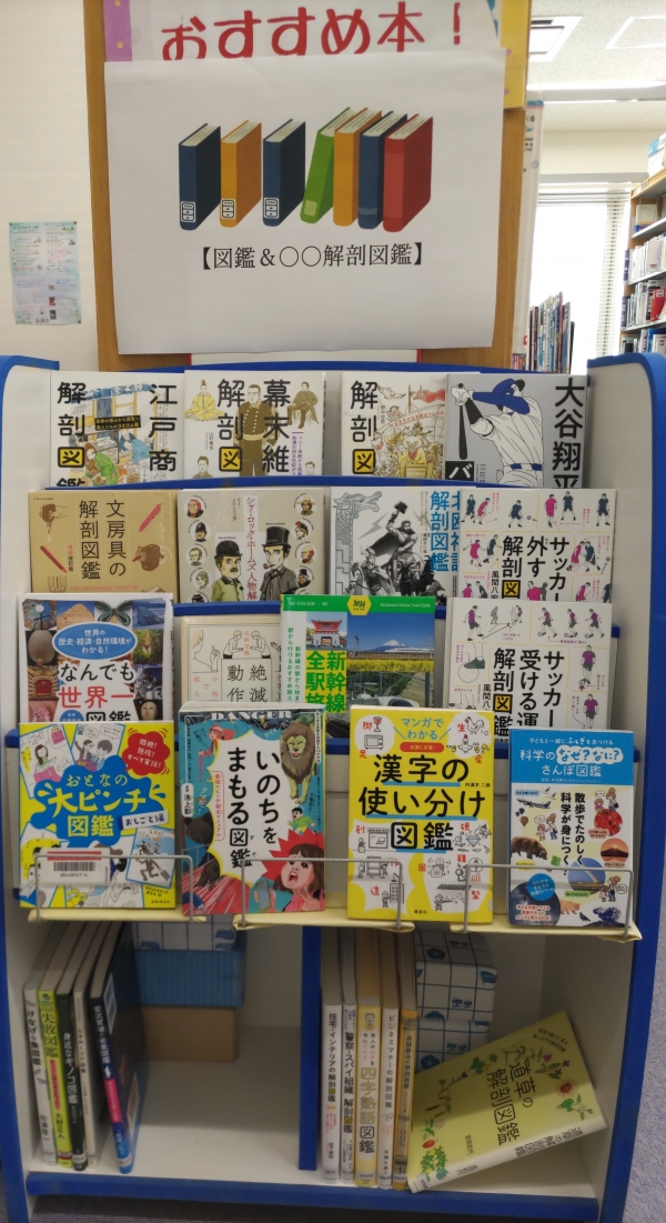旭おすすめ展示『図鑑&〇〇解剖図鑑』