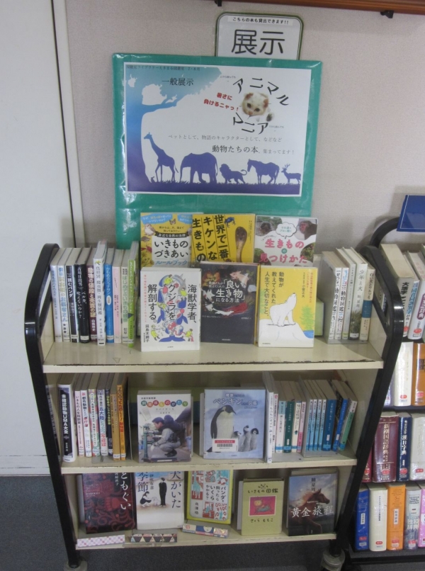 【視聴覚ライブラリーえきまる図書室】一般展示『アニマルマニア』